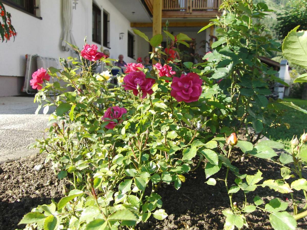 Appartements Wacker Bichlbach Exterior foto